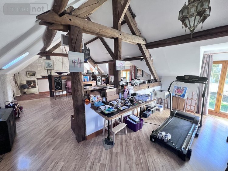 Maison a vendre Châtillon-sur-Cher 41130 Loir-et-Cher 385 m2 14 pièces 420000 euros