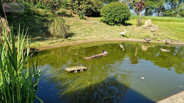 Maison a vendre Plougonven 29640 Finistère 159 m2 8 pièces 399380 euros