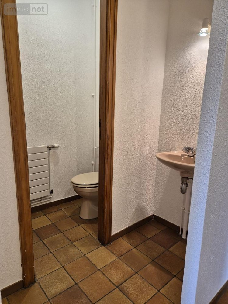 Location appartement Remiremont 88200 Vosges 188 m2 6 pièces 1000 euros