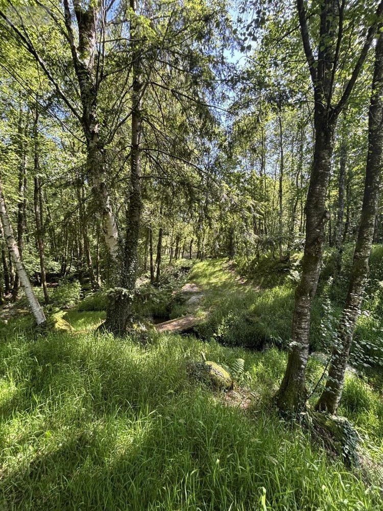 Terrains de loisirs bois etangs a vendre Noues de Sienne 14380 Calvados 185705 m2  399000 euros