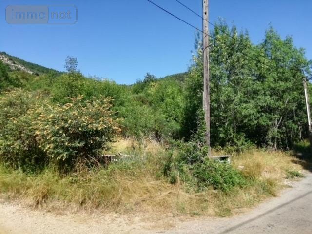 Terrains de loisirs bois etangs a vendre Lauroux 34700 Hérault 10000 m2  11000 euros