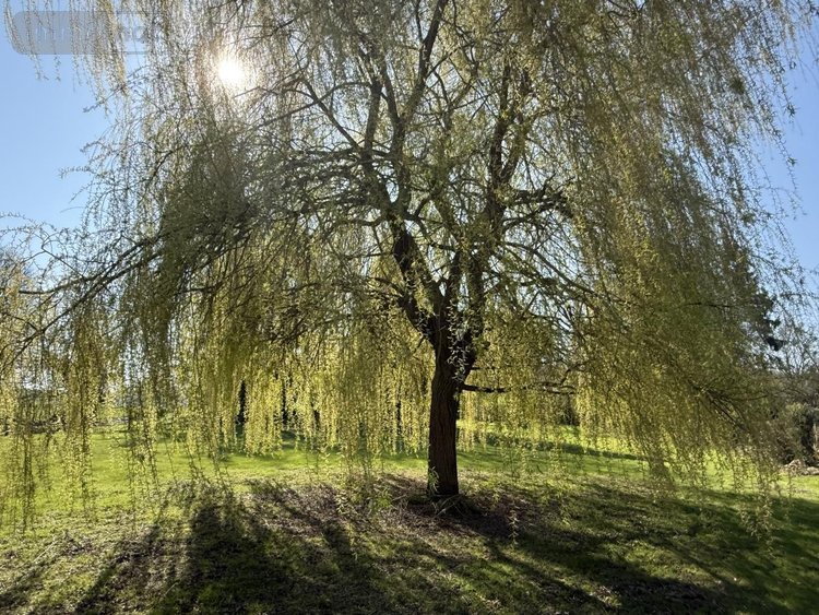 Maison a vendre Treux 80300 Somme 130 m2 5 pièces 312000 euros