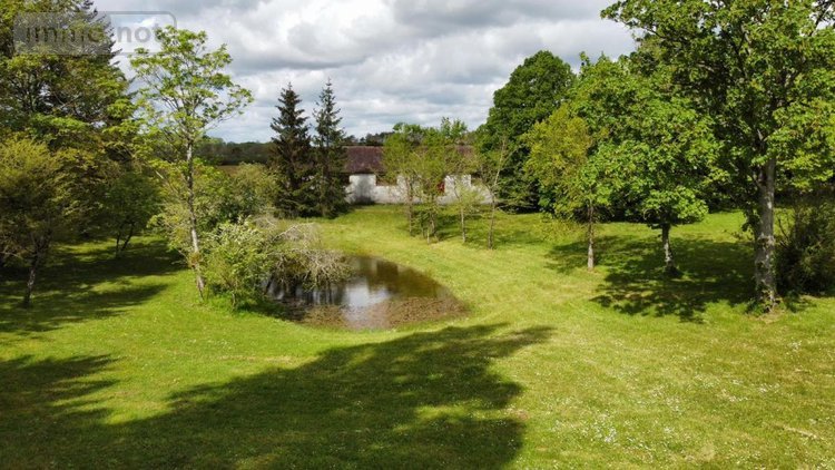 Maison a vendre Pressigny-les-Pins 45290 Loiret 480 m2  850000 euros