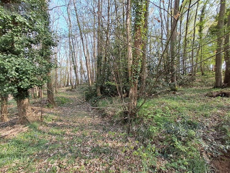 Maison a vendre Saint-Saturnin 72650 Sarthe 204 m2 6 pièces 445050 euros