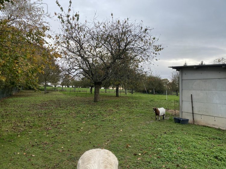 Maison a vendre Beaulieu 14350 Calvados 75 m2 4 pièces 152975 euros