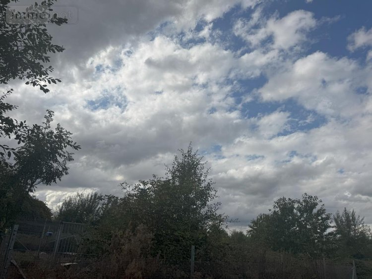 Terrains de loisirs bois etangs a vendre Barzy-en-Thiérache 02170 Aisne 53030 m2  179350 euros