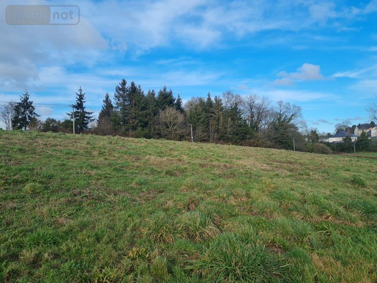 Terrain a batir a vendre Pleugriffet 56120 Morbihan 3740 m2  37400 euros