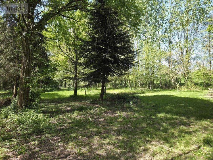 Terrains de loisirs bois etangs a vendre La Roche-Neuville 53200 Mayenne 31445 m2  95700 euros