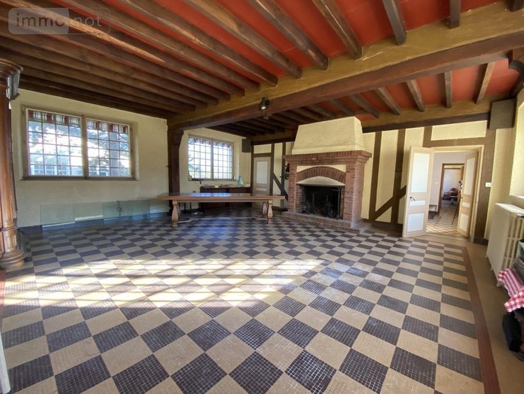 Divers a vendre Pressigny-les-Pins 45290 Loiret 480 m2  850000 euros