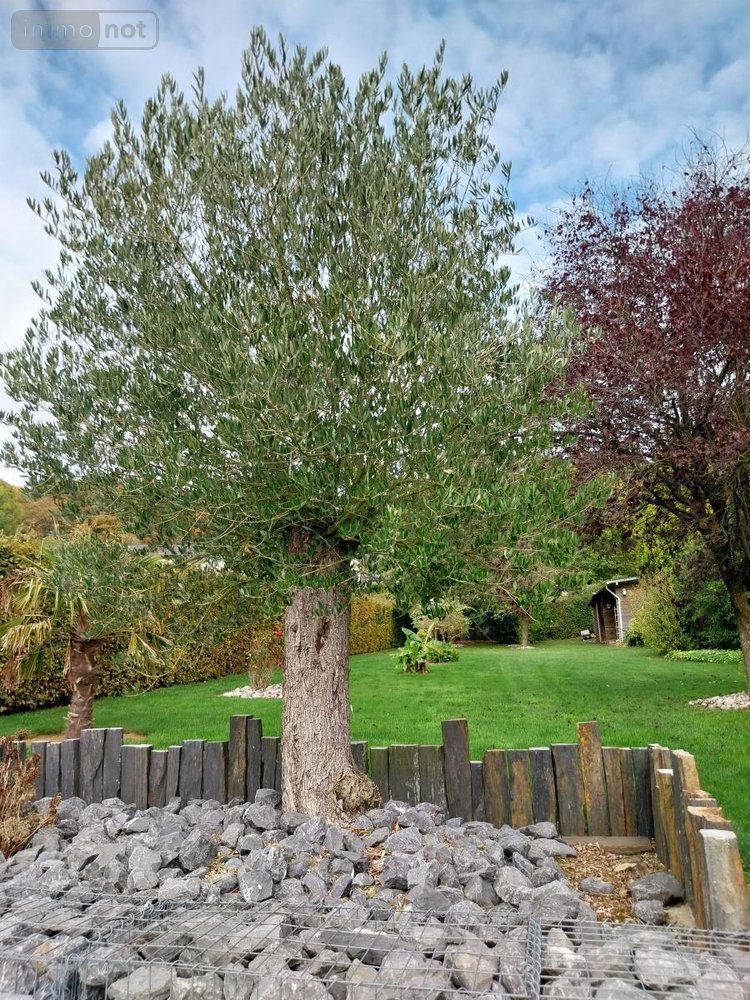 Maison a vendre Camblain-l'Abbé 62690 Pas-de-Calais 110 m2 6 pièces 343000 euros