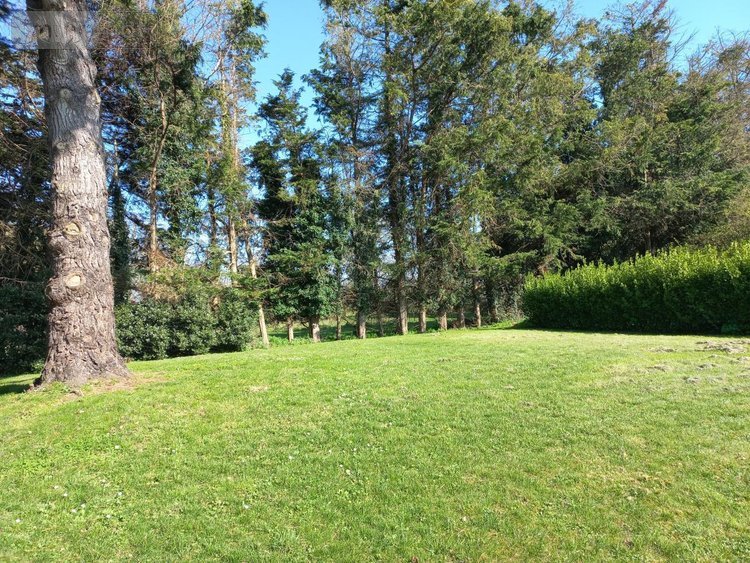 Maison a vendre Plurien 22240 Côtes-d'Armor 114 m2 5 pièces 418000 euros