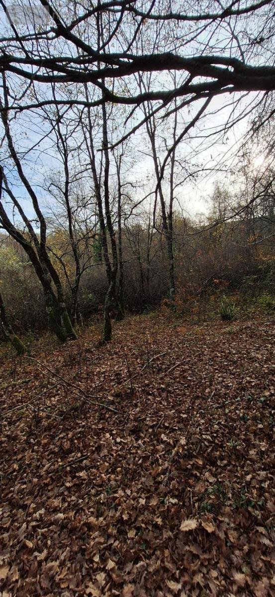 Terrains de loisirs bois etangs a vendre Peyrusse-Grande 32320 Gers 57740 m2  39500 euros
