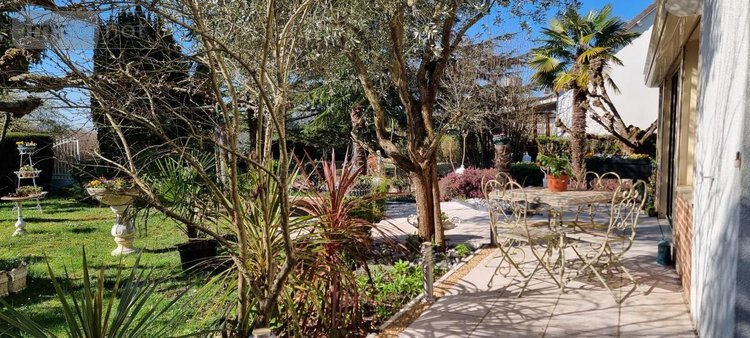 Viager maison Rochecorbon 37210 Indre-et-Loire 144 m2 5 pièces 158000 euros