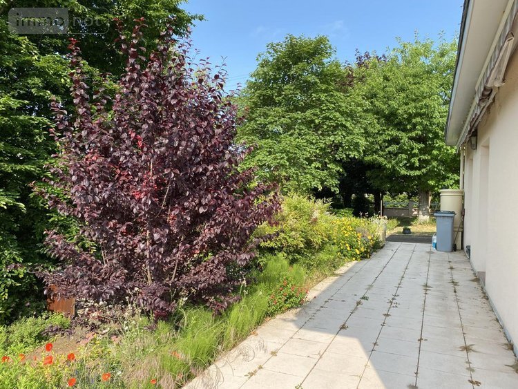 Maison a vendre Rives-du-Loir-en-Anjou 49140 Maine-et-Loire 134 m2 6 pièces 317210 euros