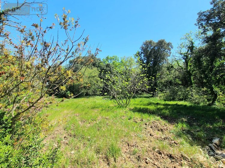 Maison a vendre La Garde-Adhémar 26700 Drôme 197 m2 7 pièces 471000 euros