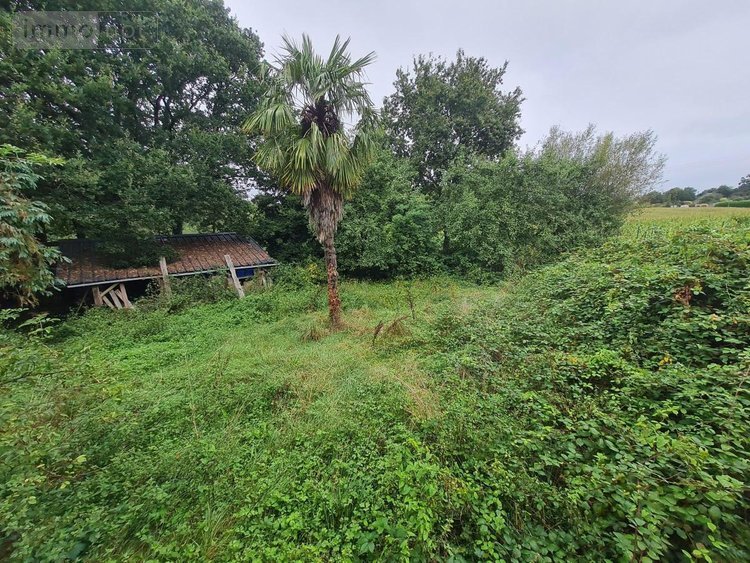 Maison a vendre Réguiny 56500 Morbihan 98 m2 4 pièces 68540 euros