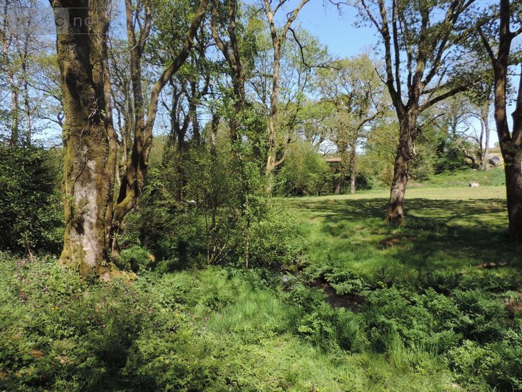 Maison a vendre La Chapelle-Neuve 22160 Côtes-d'Armor 39 m2  37700 euros