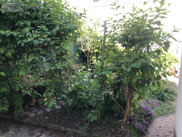 Maison a vendre Port-Louis 56290 Morbihan 45 m2 2 pièces 182000 euros