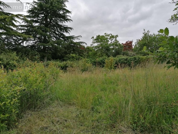 Maison a vendre Descartes 37160 Indre-et-Loire 64 m2 3 pièces 115500 euros