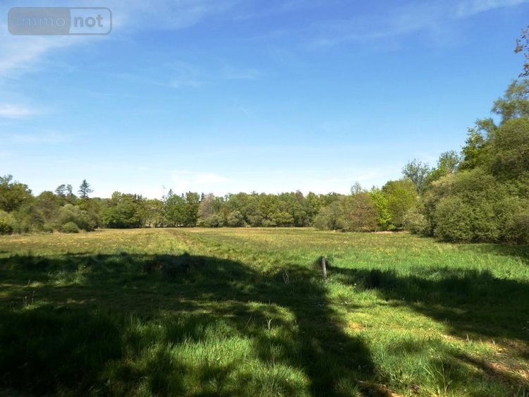 Maison a vendre Ploërdut 56160 Morbihan 253 m2 12 pièces 492400 euros