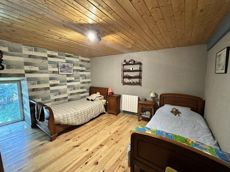 Maison a vendre Neuvéglise-sur-Truyère 15260 Cantal 200 m2  245000 euros