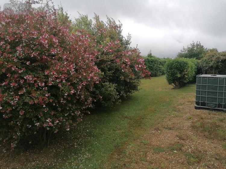 Maison a vendre Taulé 29670 Finistère 162 m2 6 pièces 281340 euros