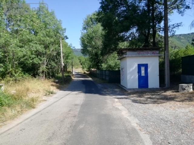 Terrains de loisirs bois etangs a vendre Lauroux 34700 Hérault 10000 m2  11000 euros