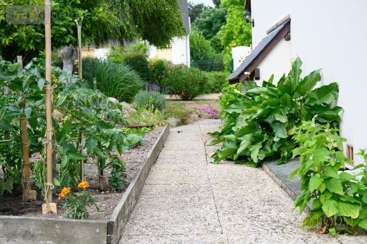 Maison a vendre Luynes 37230 Indre-et-Loire 185 m2 6 pièces 479000 euros