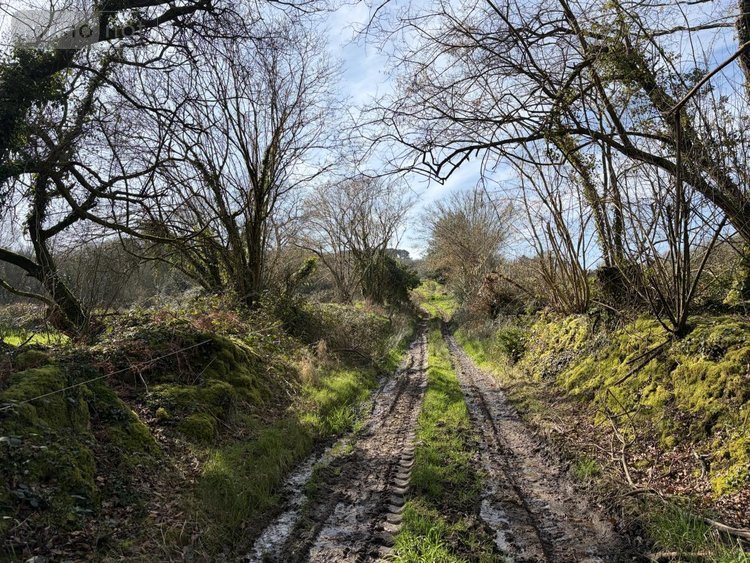 Terrains de loisirs bois etangs a vendre Pleyber-Christ 29410 Finistère 37739 m2  18000 euros