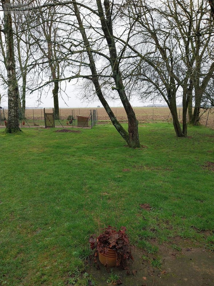 Maison a vendre Adinfer 62116 Pas-de-Calais 216 m2 9 pièces 308000 euros