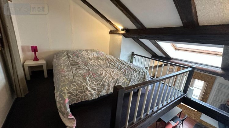 Appartement a vendre Nancy 54000 Meurthe-et-Moselle 30 m2  98000 euros