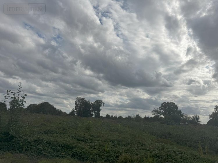 Terrains de loisirs bois etangs a vendre Prisches 59550 Nord 53030 m2  179350 euros