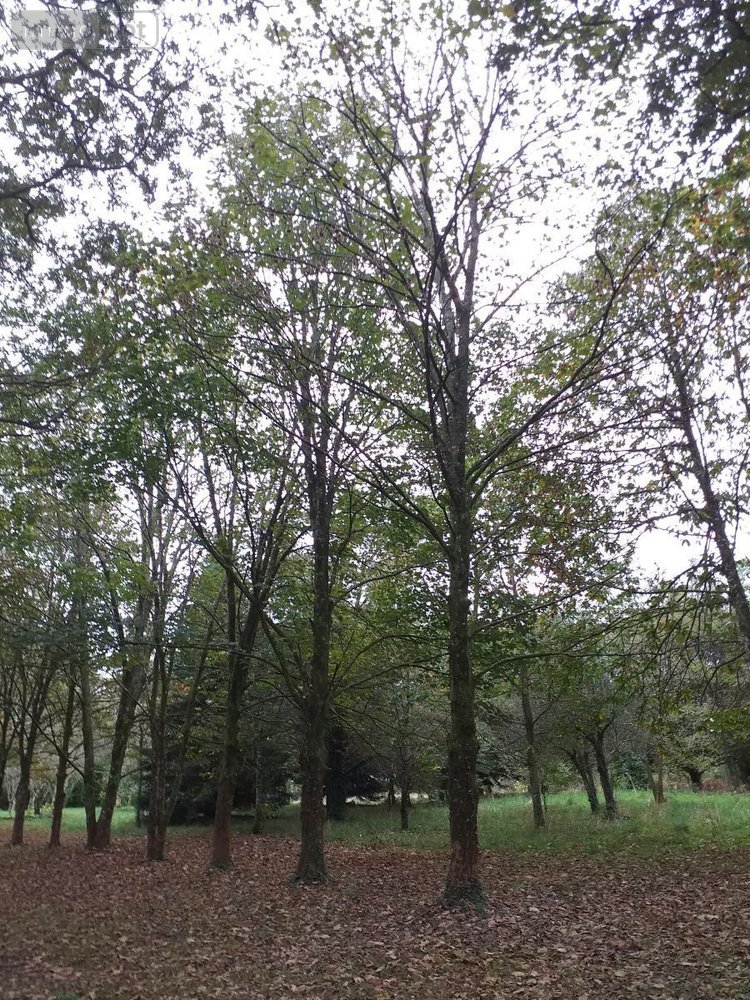 Maison a vendre Quimper 29000 Finistère 138 m2 5 pièces 470250 euros