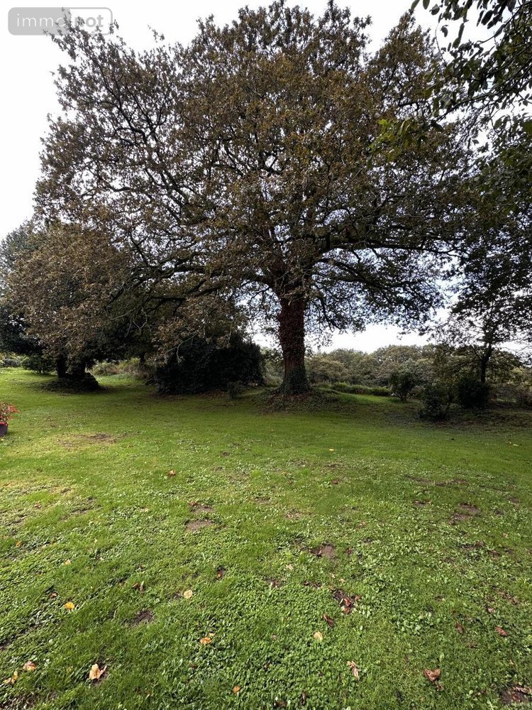 Maison a vendre Theix-Noyalo 56450 Morbihan 360 m2 11 pièces 1135743 euros