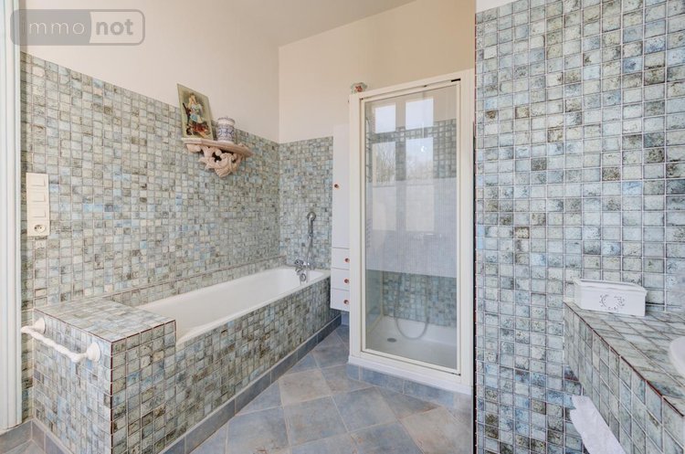 Maison a vendre Neuvy-le-Roi 37370 Indre-et-Loire 240 m2 7 pièces 478400 euros