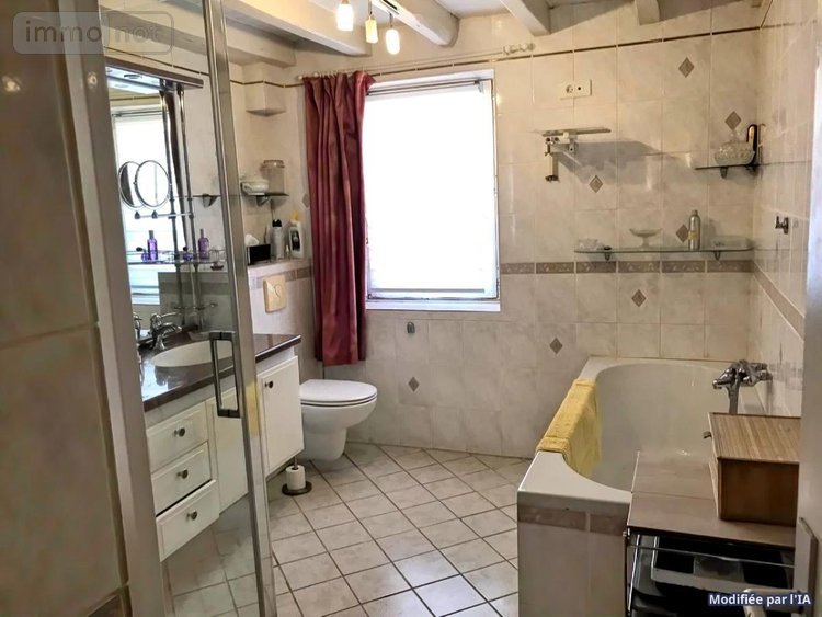 Maison a vendre Sainte-Solange 18220 Cher 310 m2 8 pièces 360500 euros