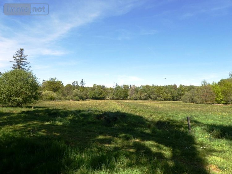 Maison a vendre Ploërdut 56160 Morbihan 253 m2 12 pièces 492400 euros