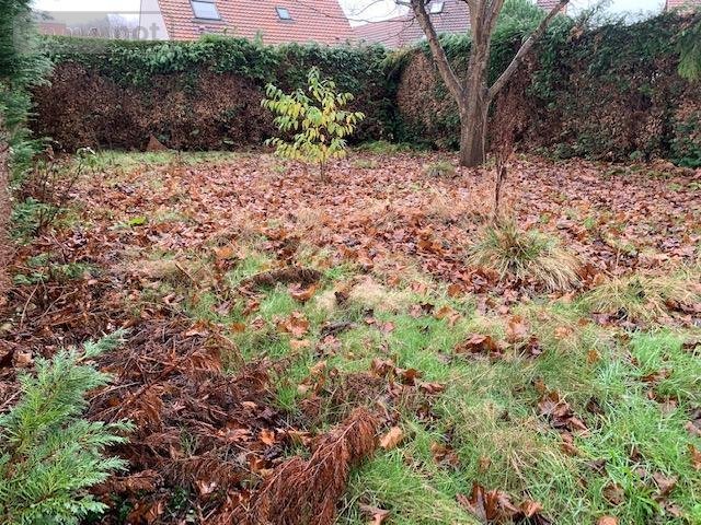 Maison a vendre Grand-Couronne 76530 Seine-Maritime 86 m2  202500 euros