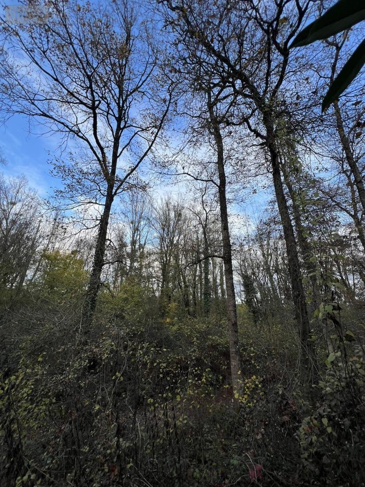 Terrains de loisirs bois etangs a vendre Jarzé-Villages 49140 Maine-et-Loire 75235 m2  83600 euros