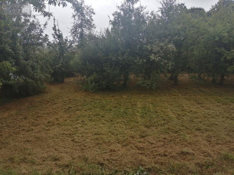 Maison a vendre Saint-Connec 22530 Côtes-d'Armor 87 m2 3 pièces 115400 euros