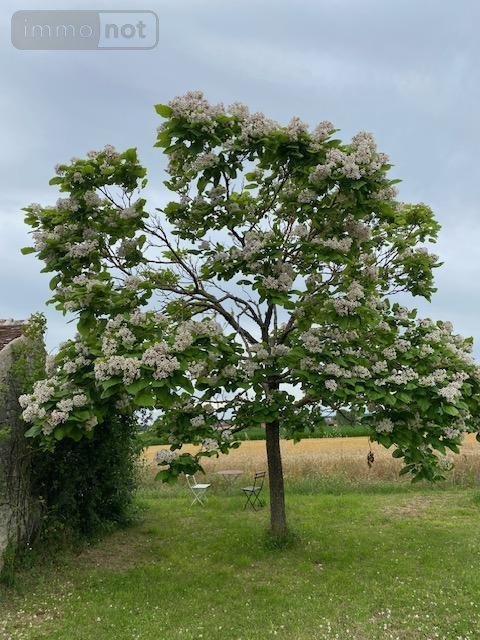 Maison a vendre Chezelles 37220 Indre-et-Loire 141 m2 5 pièces 169600 euros