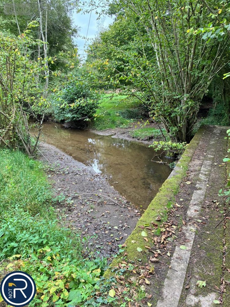 Terrains de loisirs bois etangs a vendre Montaudin 53220 Mayenne 2522 m2  13500 euros