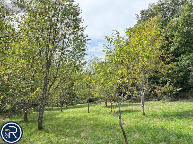 Maison a vendre Argentré 53210 Mayenne 287 m2  322400 euros