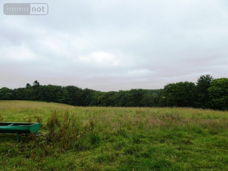 Terrains de loisirs bois etangs a vendre Plouray 56770 Morbihan 28430 m2  15990 euros