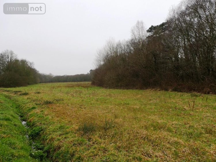 Maison a vendre Gueltas 56920 Morbihan 160 m2 7 pièces 367000 euros