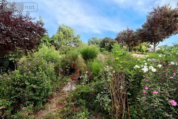 Maison a vendre Cambrai 59400 Nord 120 m2 4 pièces 142400 euros