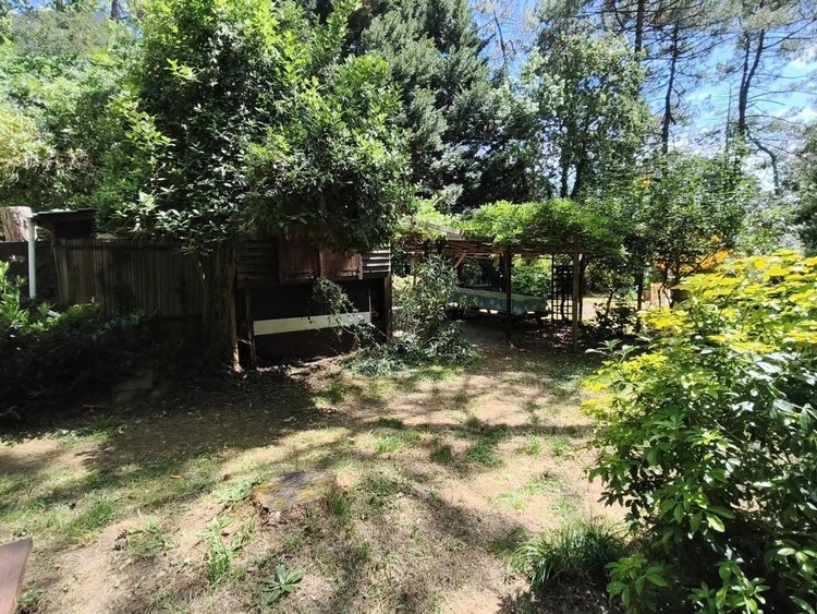 Terrains de loisirs bois etangs a vendre Nivillac 56130 Morbihan 5500 m2  106500 euros