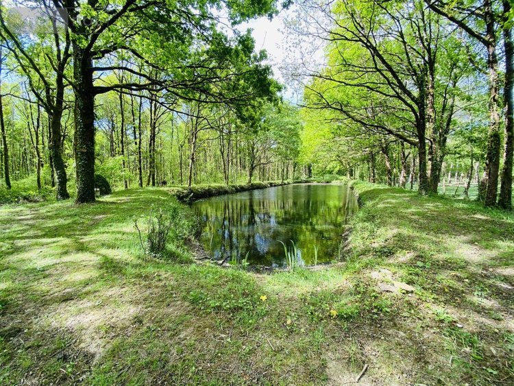 Maison a vendre La Chevrolière 44118 Loire-Atlantique 156 m2  351570 euros