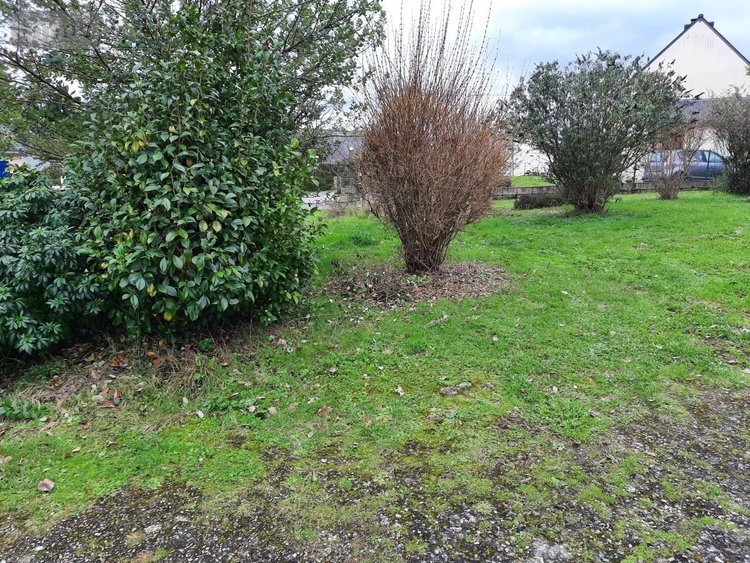 Maison a vendre Theix-Noyalo 56450 Morbihan 131 m2 5 pièces 328220 euros