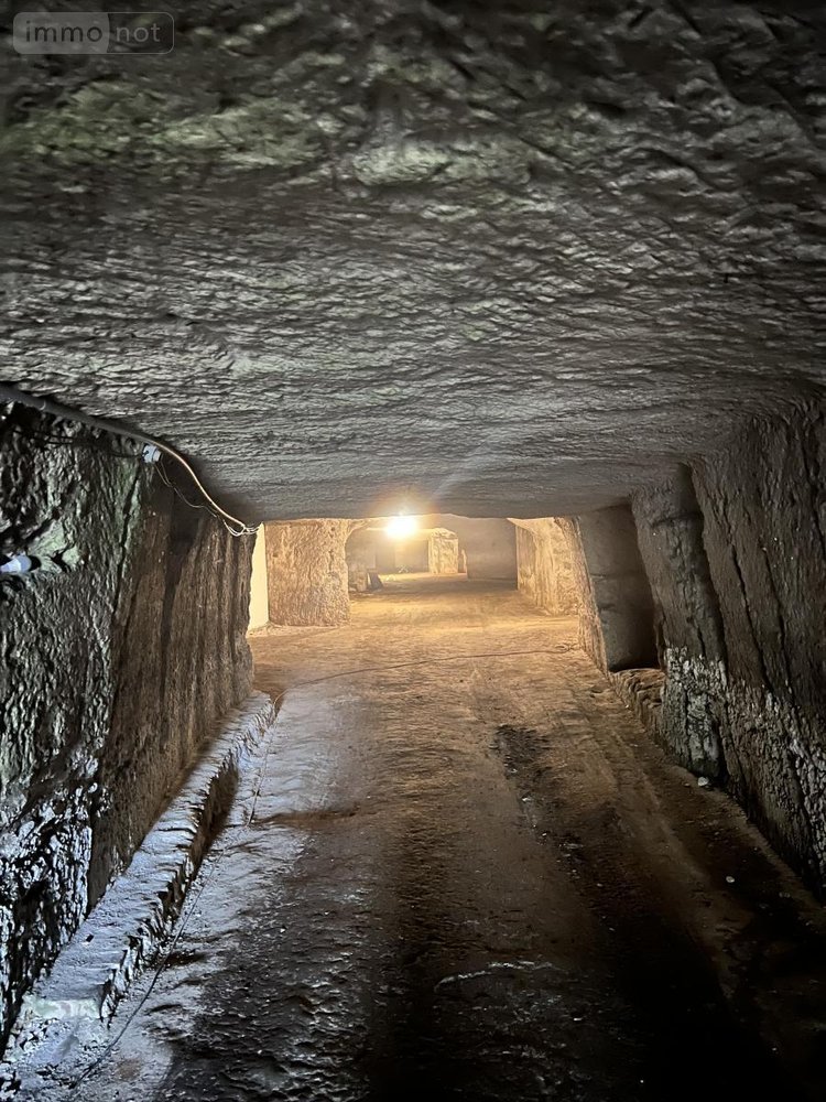 Garage et parking a vendre Naveil 41100 Loir-et-Cher 80 m2  11800 euros